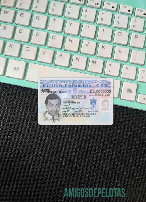 Carteira de habilitação da Província do Canadá na Colúmbia Britânica fotolook frente amostra